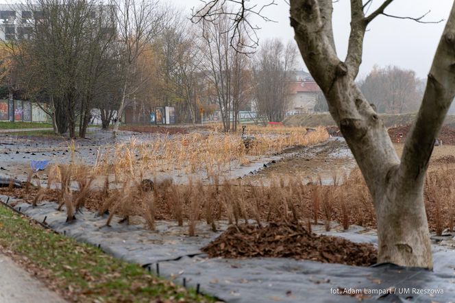 Nowa miejska plaża w Rzeszowie już powstaje