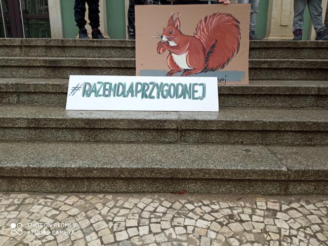 Wycinka drzew - protest