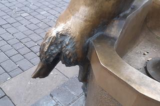 Ten koziołek nie skakał, a ma złamaną nóżkę. Co dalej z lubelskim poidełkiem? 