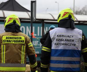 Inscenizacja wypadku, głaskanie alpak i koncerty. Tak gra Wielka Orkiestra Świątecznej Pomocy w Lublinie! 