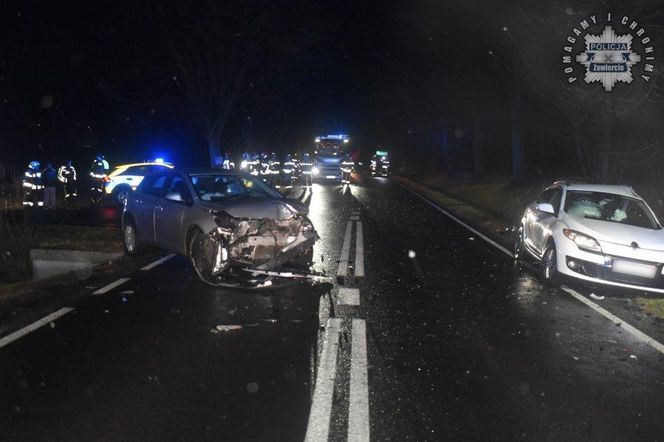 Tragedia na DW 790 w powiecie zawierciańskim. 51-latki nie udało się uratować