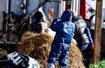 Potworny los zwierząt w Idzbarku. To była umieralnia. Gospodarz usłyszał zarzuty!