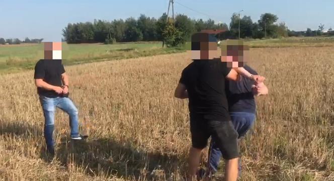 Ganiali się ze złodziejem po polu