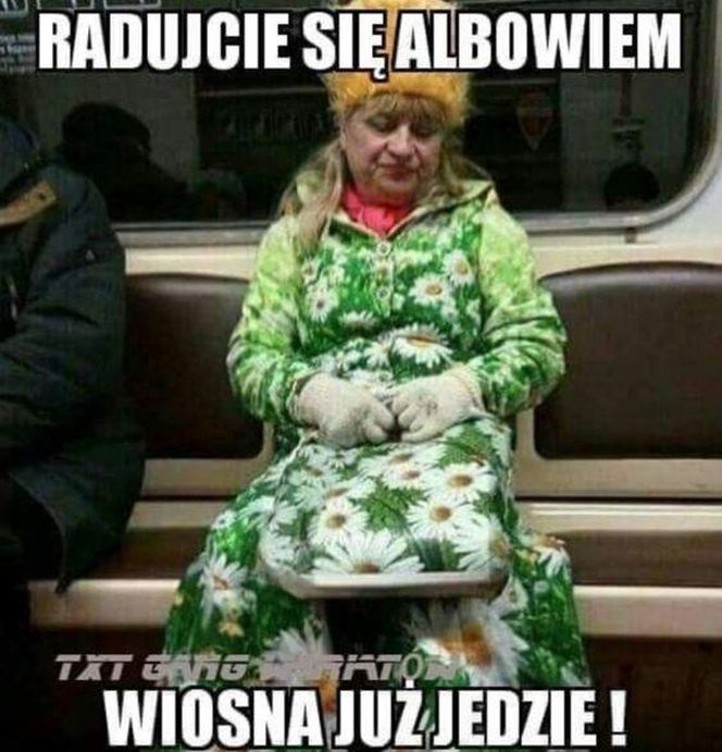 Wiosna 2025: Memy opanowały internet! Zobacz najzabawniejsze memy na powitanie wiosny [21.03.2025]