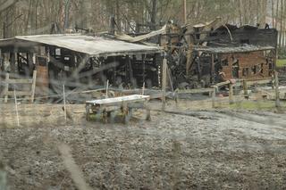  Spłonęła stadnina koni Huculski Raj na warszawskiej Białołęce. Ruszyła zbiórka na pomoc!