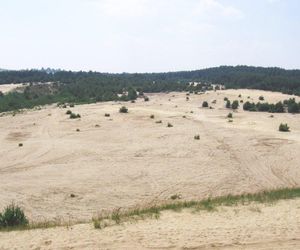 To najdziwniejsze miejsca w województwie śląskim. Niezwykłe, absurdalne, wyrwane z innego świata