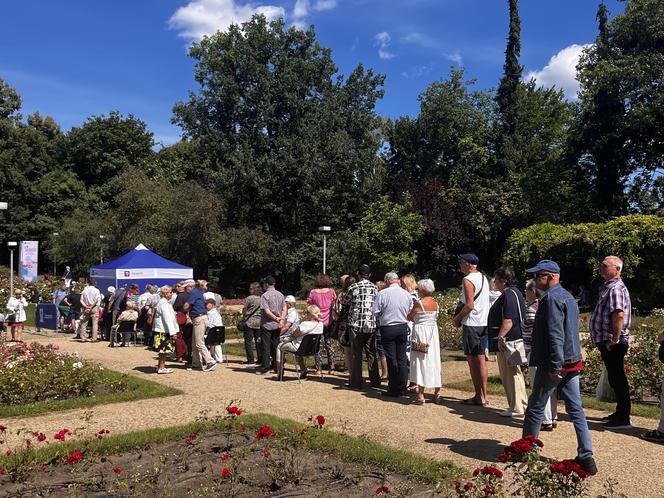 Kolejka tort urodziny Szczecina 