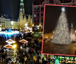 Nowa choinka we Wrocławiu. Prawie jak z lasu 