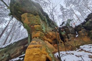 Świętokrzyskie atrakcje przyrodnicze. Odkryj 10 największych cudów natury 