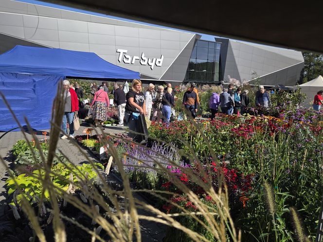 Jesienny Kiermasz Ogrodniczy w Bydgoszczy przyciągnął miłośników zieleni i smakołyków!