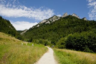 Szczawnica i Krościenko