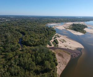 Plaża w Ciszycy (pow. piaseczyński)