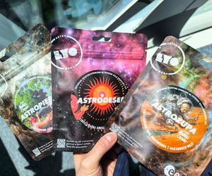 Astrozupa, Astropierogi i Astrodeser z Kielc