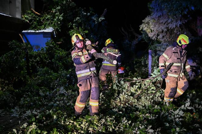 Ulewne deszcze na Podkarpaciu. Połamane drzewa na ulicach Dębicy