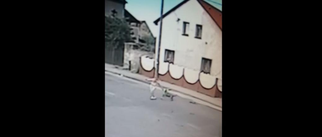 Pies RZUCIŁ SIĘ na młodą kobietę