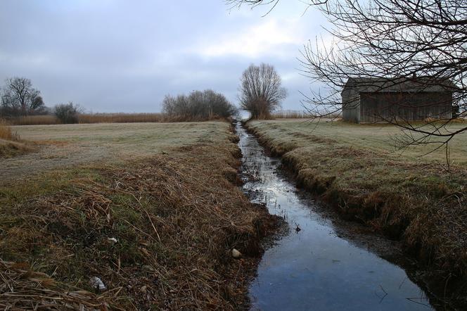 Niepokoił się, że brat nie wraca do domu. Straszna śmierć w płytkiej wodzie!