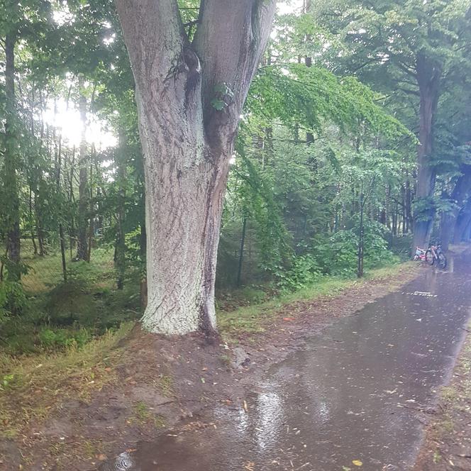 Piorun uderzył w ludzi w Rozewiu. Wcześniej próbowali schronić się przed burzą