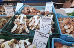 Ceny grzybów na Nowym i Starym Kleparzu w Krakowie