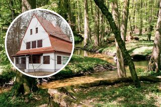 Ta gmina jest w TOP 5 najbogatszych w Kujawsko-Pomorskiem. Tu znajduje się najstarszy rezerwat na ziemi chełmińskiej!