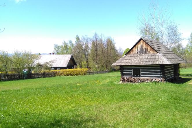 Skansen w Nowym Sączu ponownie otwarty dla turystów [GALERIA]