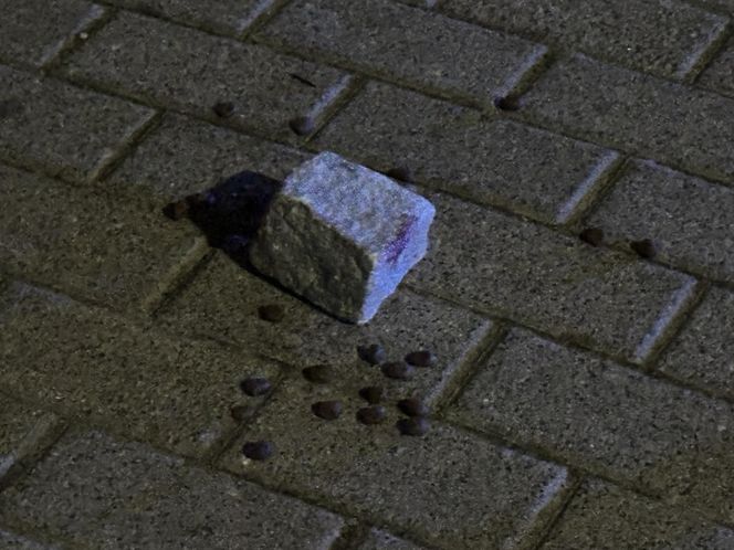 Napadał na seniorki w Warszawie. Wreszcie wpadł w ręce policji 