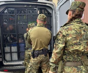 Nalot Straży Granicznej na Śląsku! Wpadli m.in. Kolumbijczycy i Peruwiańczyk