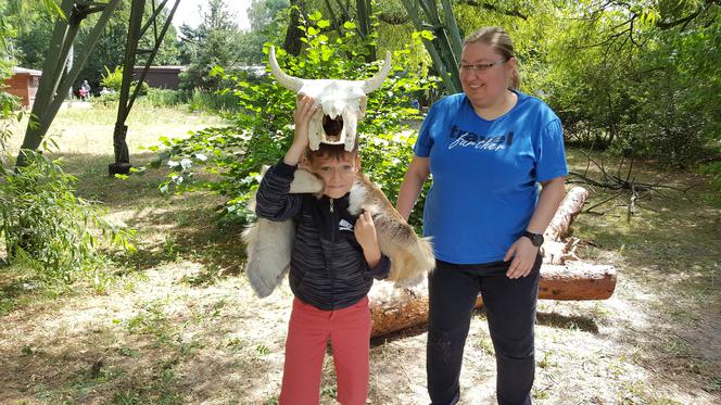 Mali archeolodzy zakasali rękawy i zabrali się do pracy! Co znaleźli w bydgoskim zoo? 