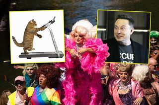 Elon Musk wkrótce to ujawni? Koty na bieżni i drag queen w Ekwadorze