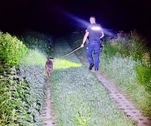  ZŁodzieje ukradli pitbulla.