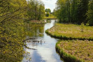 Gdzie odpocząć bez tłumów w Podlaskiem? 5 propozycji na długi czerwcowy weekend