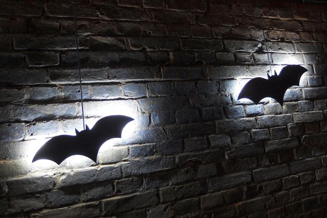 Zbiornik wody Stara Orunia w Gdańsku