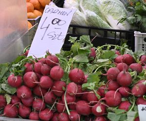  Ceny nowalijek na warszawskich bazarach szokują. Byliśmy i sprawdziliśmy ile trzeba zapłacić
