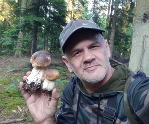 Taaaakie grzybobranie w Świetokrzyskiem. Królują borowiki szlachetne i ceglastopore