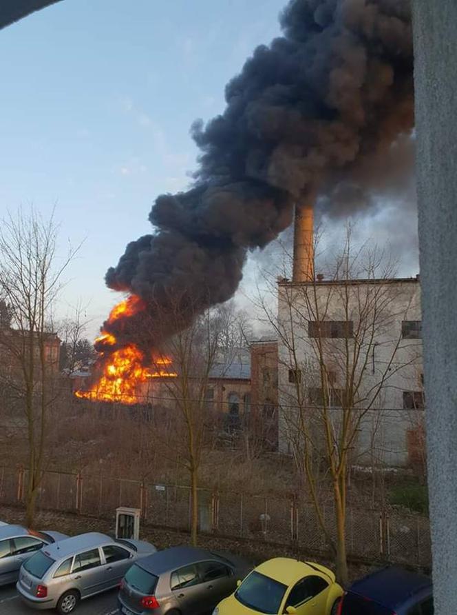 Pożar składowiska opon w Lubaniu