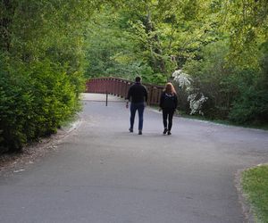 1. Park Sołacki 
