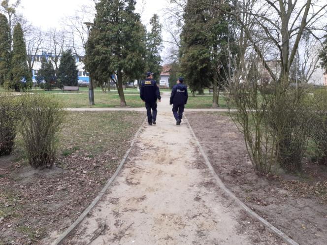 Łamią obowiązujące przepisy. Policjanci z kujawsko-pomorskiego wlepiają mandaty