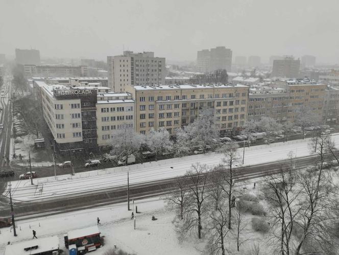 Śnieżyca w Warszawie