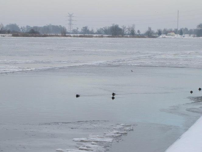 Lodołamacze wyruszają na Odrę