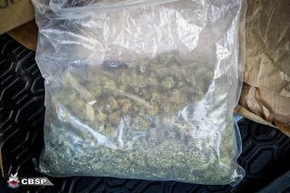  Zarabiali na prostytucji. Policja rozbiła gang. Znaleziono broń, amunicję i narkotyki