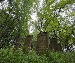 Cmentarz żydowski w Leżajsku