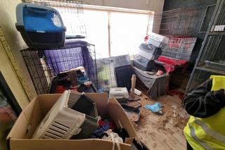 37 martwych zwierząt w siedzibie toruńskiej fundacji. Sprawie ma się przyjrzeć prokurator