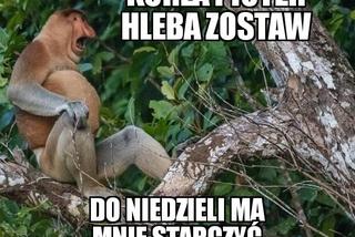 Zakaz handlu w niedziele - memy