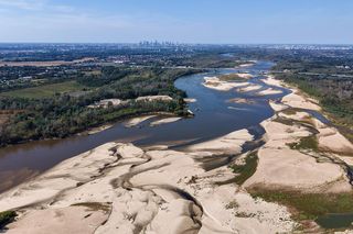 Niski stan wody w Wiśle w okolicach Warszawy