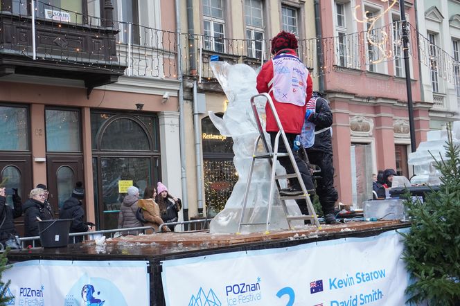 Poznań Ice Festival 2024 