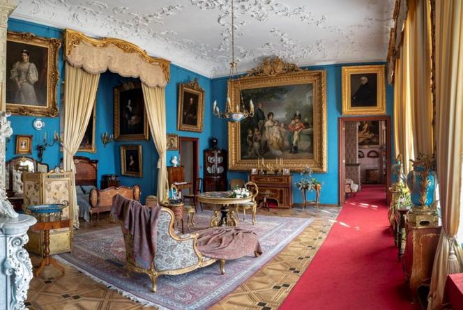 Wirtualnie u hrabiego Zamoyskiego