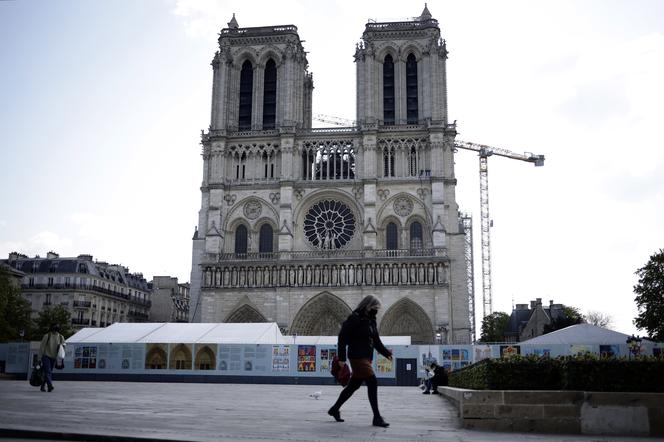 Polacy odbudowują katedrę Notre Dame! Wzruszające słowa Polki