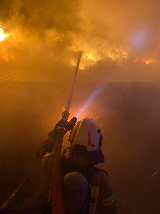 Gigantyczny pożar kurnika. Jęzory ognia strawiły cały budynek. Spłonęło 25 tysięcy młodych pisklaków!