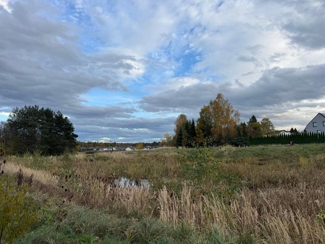 Serenity Park w Mysłowicach to nowe miejsce wypoczynku na Śląsku