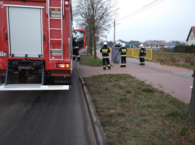 Maleńka sarna w tarapatach! Z pomocą ruszyli strażacy z Solca Kujawskiego 
