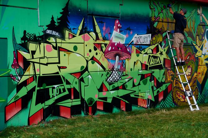 Artyści z całego świata stworzyli gigantyczne graffiti! Meeting of Styles 2018